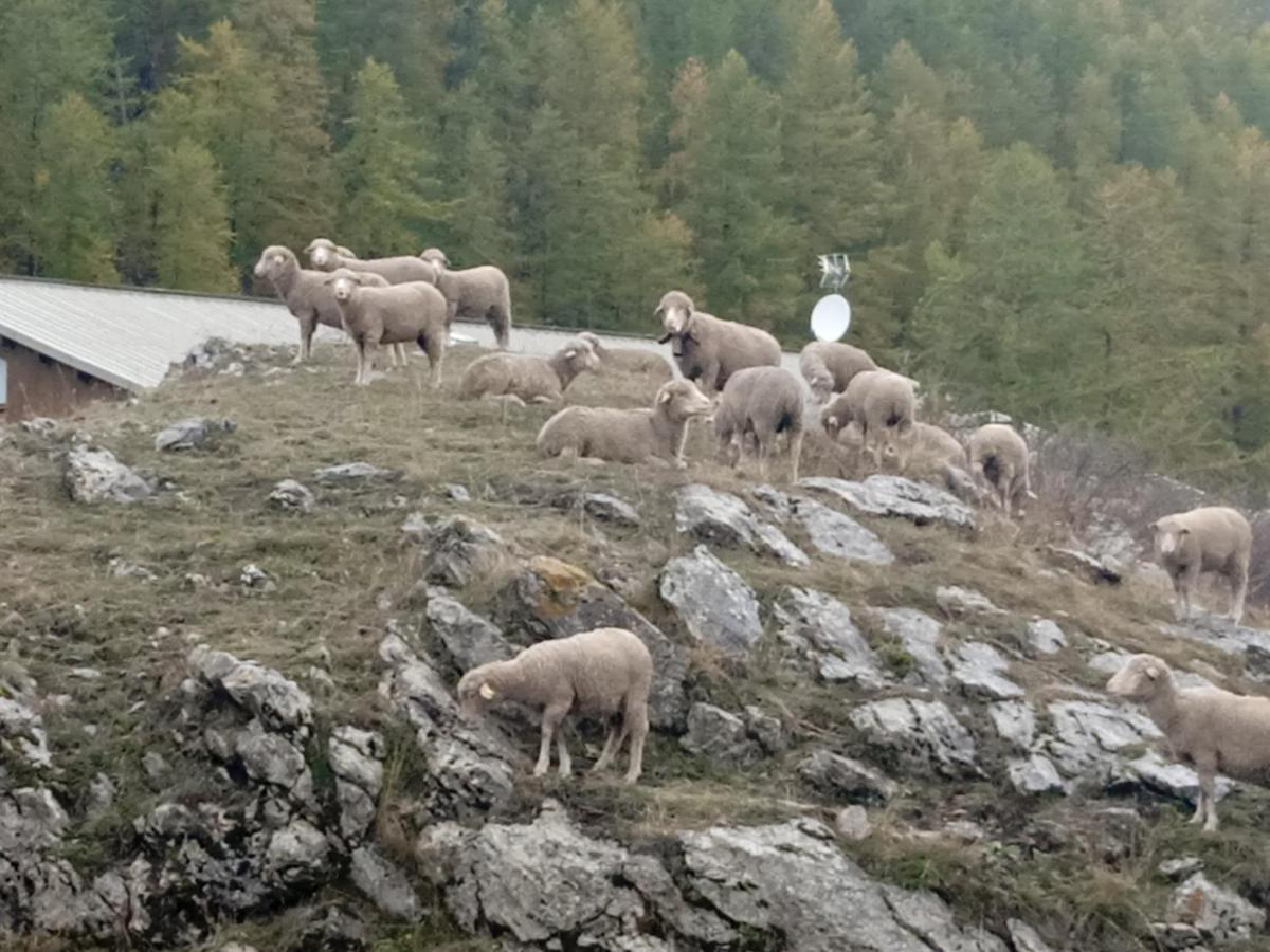 Residences De Melisa La Foux D'ألو المظهر الخارجي الصورة